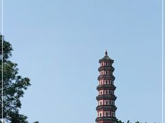 -广州莲花山旅游区