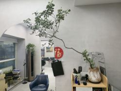 -艺鑫发型工作室YX·HAIR STUDIO