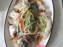 -田螺阿姨自营月嫂·育儿嫂(高新店)
