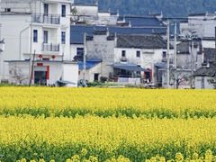 -婺源风景区
