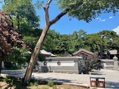 -阳台山自然风景区