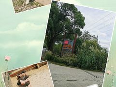 -前小桔亲子创意农场·草莓采摘·露营烧烤