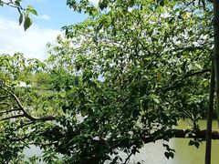 -金稼园·金平湖农家菜