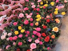 -双季花艺园艺市场(浦东店)