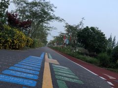 -上海长兴岛郊野公园