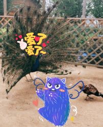 -萌宠亲子动物乐园(槐房万达店)