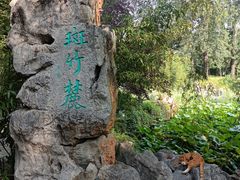 -皇家御河游(紫御湾码头)