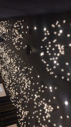 -西安威斯汀大酒店·宴会厅