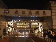 -武汉关码头(轮渡站)