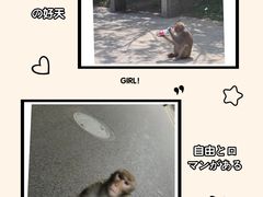 -黔灵山公园