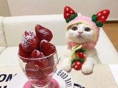 -素满香·素食自助餐(西安·民乐园店)