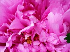 -美丽心情蛋糕(江苏路店)