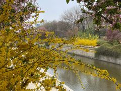 -海棠花溪(元大都城垣遗址公园)