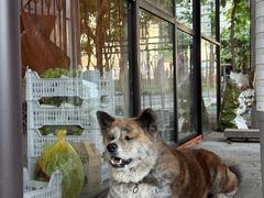 -马陆小张葡萄园农家乐