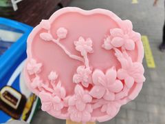 -北京植物园南门售票处