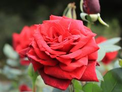 -人民公园(罗湖区)