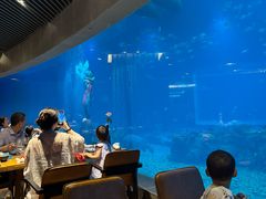 -海棠湾洲际-涛·海底餐厅·美人鱼·自助餐·海底隧道