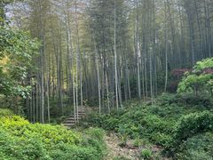 -黄公望隐居地