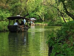 -野蔓果·山野菜(西湖景区·龙井茶田店)