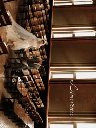 -CD视觉婚纱摄影