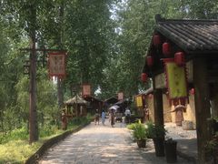 -合肥滨湖国家森林公园