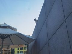 -UNIUNI(凯瑟琳广场店)