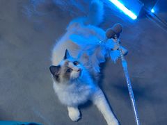 -零纪元VR体验馆·桌游(黄浦店)