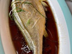 黄鱼-乐在集市海鲜大排档(平潭店)
