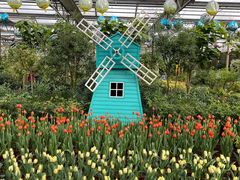 -南宫五洲植物乐园