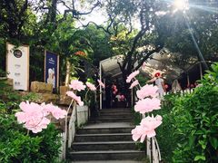 -gaga(深圳南山益田假日广场店)