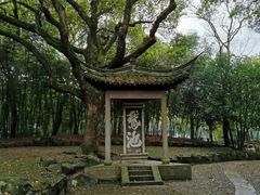 -兰亭风景区
