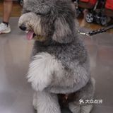 深圳新晋萌宠乐园？！今日小可爱萌度加倍！
