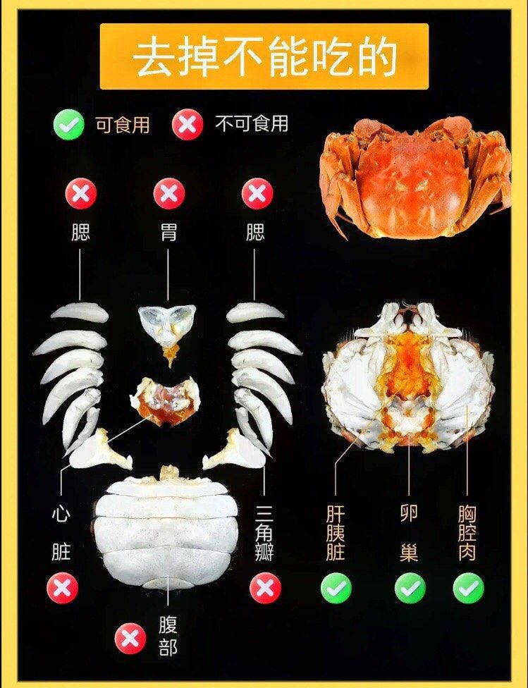 大闸蟹拆解方法