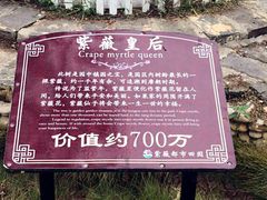 -武汉紫薇都市田园