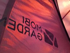 -春花秋色城市公园