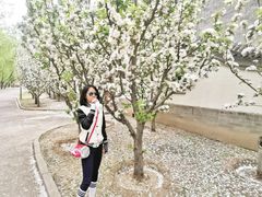 -朝阳公园体育中心