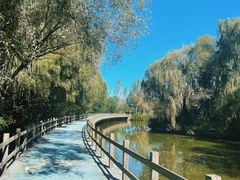 -沈阳鸟岛