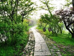 android_upload_pic-国恩寺