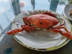 -连理枝渔家乐