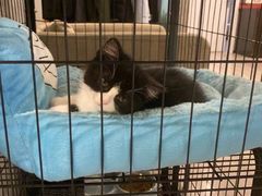 -SAH健身私教工作室(紫东店)