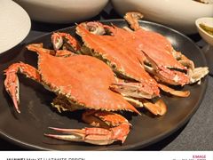 -鲁采LU STYLE(新天地店)