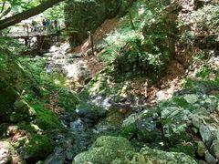 -本溪汤沟绿石谷森林公园
