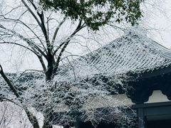 -洋湖国家湿地公园