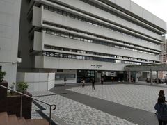 -香港大学