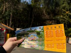-西双版纳原始森林公园