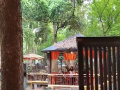 -二荆条·蜀鲜汇城市森林火锅