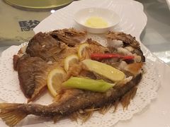 -骏莱海鲜鱼港(五角场店)