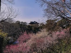 -南京古林公园