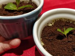 -深圳东方银座酒店·粤秀轩中餐厅