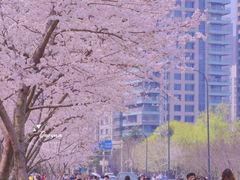 -西北湖绿化广场